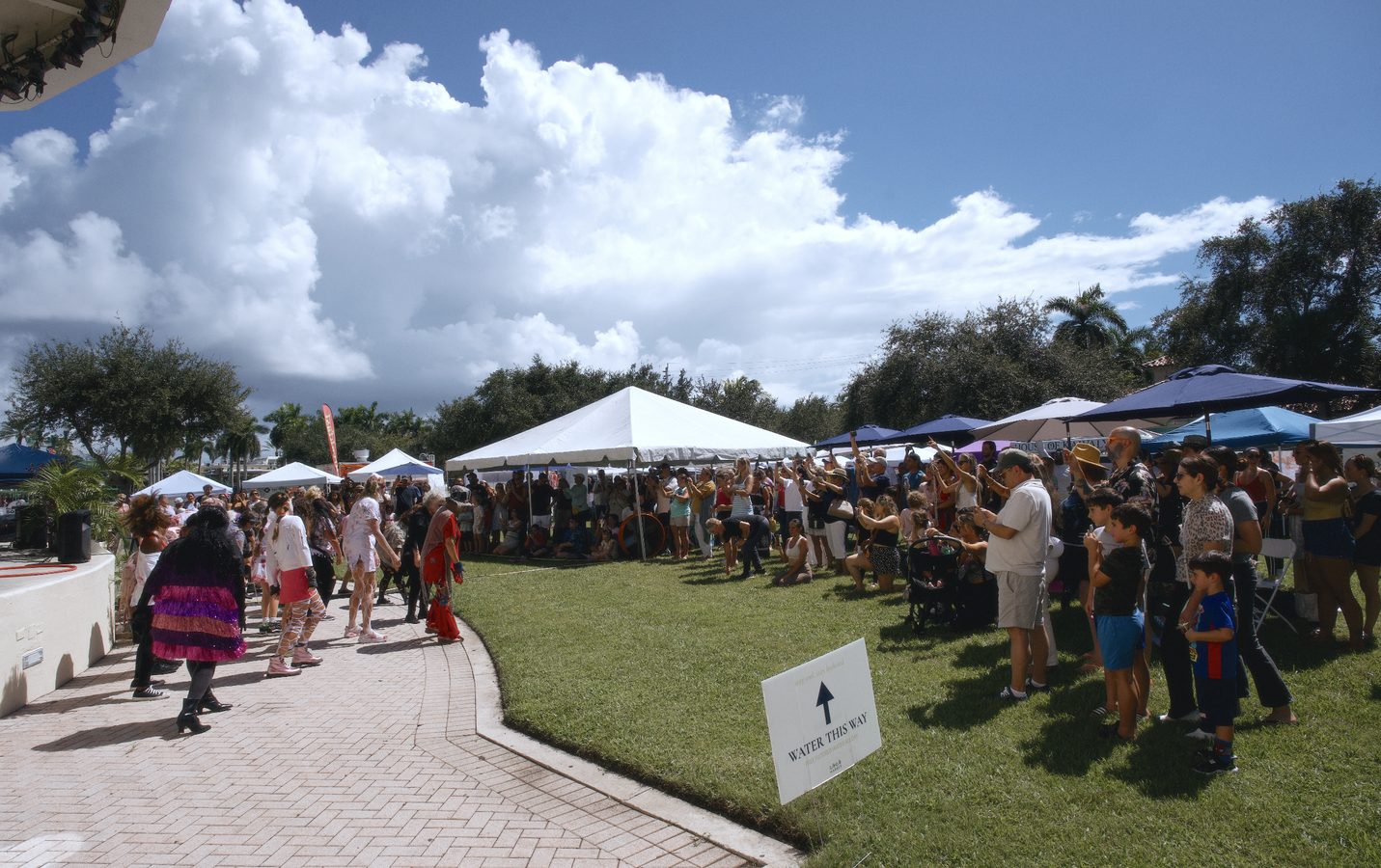 The Thriller flash mob performing on the walkway while a crowd watches from the lawn.